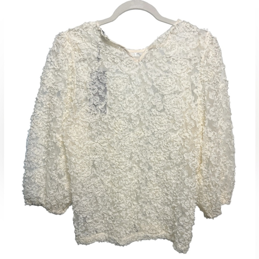 Floral Lace Sheer Puff Sleeve Blouse - Picture 5 of 11